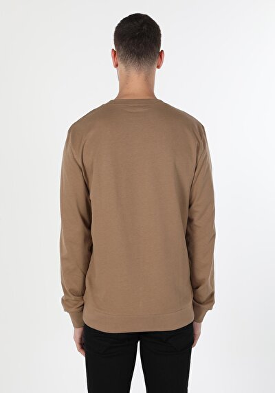 Image de Pull-over Beige Regular Fit  Homme