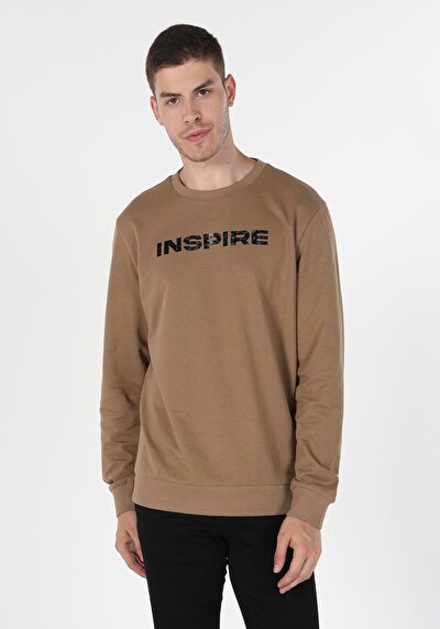 Image de Pull-over Beige Regular Fit  Homme