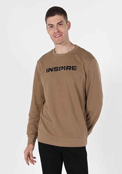 Image de Pull-over Beige Regular Fit  Homme