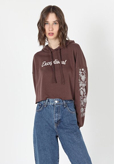 Image de Pull-over Marron   Femme