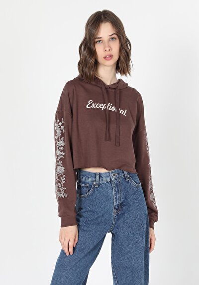 Image de Pull-over Marron   Femme