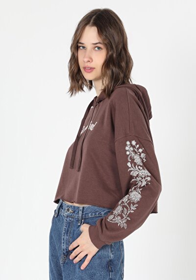 Image de Pull-over Marron   Femme