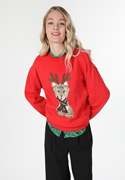 Image de Pull-over Rouge Regular Fit  Femme