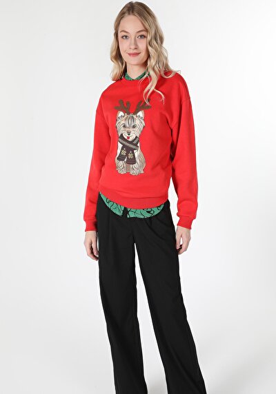 Image de Pull-over Rouge Regular Fit  Femme