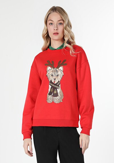 Image de Pull-over Rouge Regular Fit  Femme