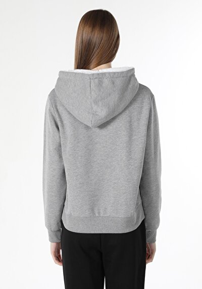 Image de Pull-over Gris Regular Fit  Femme