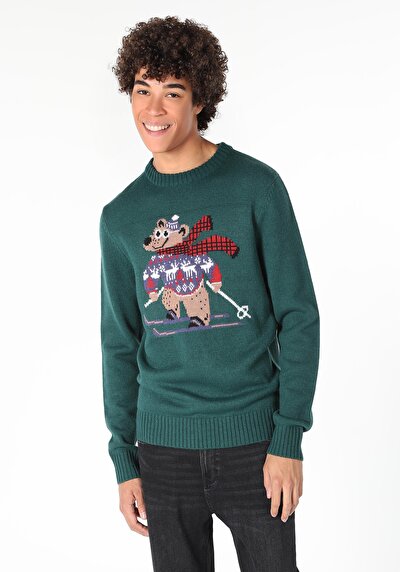 Image de Pull Vert Regular Fit   Homme
