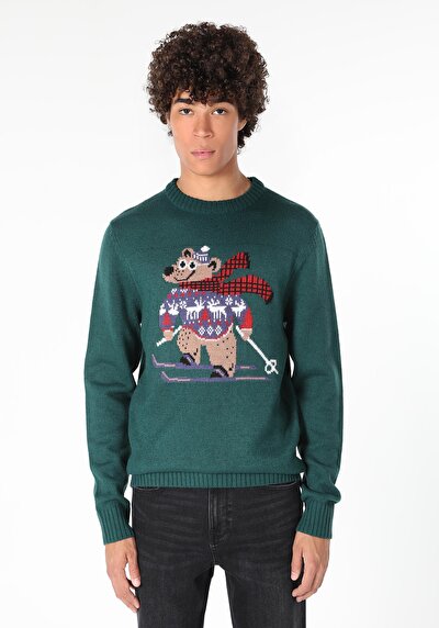 Image de Pull Vert Regular Fit   Homme