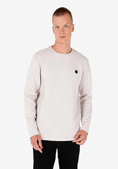 Image de T-shirt À Manches Longues Gris Regular Fit  Homme