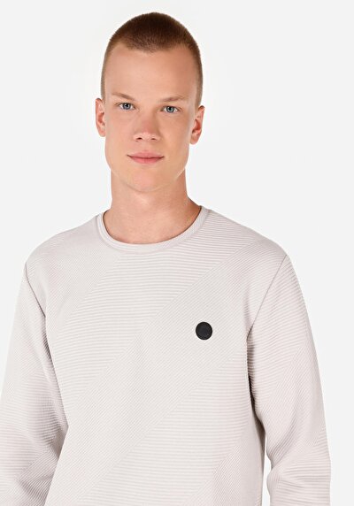 Image de T-shirt À Manches Longues Gris Regular Fit  Homme