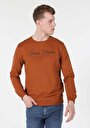 thumb-Afficher les détails de Pull-over Marron Regular Fit  Homme
