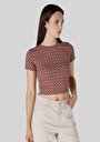 thumb-Afficher les détails de T-shirt À Manches Courtes Multicolou Slim Fit  Femme