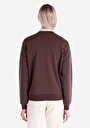 thumb-Afficher les détails de Pull-over Marron Regular Fit  Femme