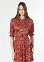 thumb-Afficher les détails de T-shirt À Manches Courtes Marron Regular Fit  Femme