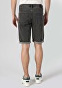 thumb-Afficher les détails de Short Gris Regular Fit Homme
