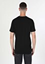 thumb-Afficher les détails de T-shirt À Manches Courtes Noir Regular Fit  Homme