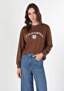 thumb-Afficher les détails de Pull-over Marron Regular Fit  Femme