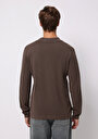 thumb-Afficher les détails de Pull Marron Regular Fit Manches Longues  Homme
