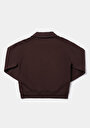 thumb-Afficher les détails de Pull-over Marron Regular Fit  Femme