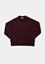 thumb-Afficher les détails de Pull Violet Regular Fit Manches Longues  Femme