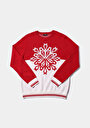 thumb-Afficher les détails de Pull Rouge Regular Fit Manches Longues  Homme