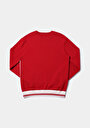 thumb-Afficher les détails de Pull Rouge Regular Fit Manches Longues  Homme
