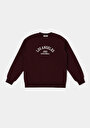 thumb-Afficher les détails de Pull-over Bordeaux Regular Fit  Femme