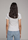 thumb-Afficher les détails de Chemise Polo À Manches Courtes Bleu Rayé Slim Fit Femme