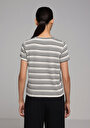 thumb-Afficher les détails de T-shirt À Manches Courtes Multicolou Regular Fit Rayé Femme