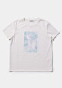 thumb-Afficher les détails de T-shirt À Manches Courtes Blanc Regular Fit Imprimé Femme