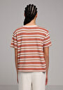 thumb-Afficher les détails de T-shirt À Manches Courtes Marron Regular Fit Rayé Femme