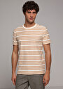 thumb-Afficher les détails de T-shirt À Manches Courtes Marron Regular Fit Rayé Homme