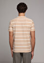 thumb-Afficher les détails de T-shirt À Manches Courtes Marron Regular Fit Rayé Homme