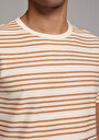 thumb-Afficher les détails de T-shirt À Manches Courtes Marron Regular Fit Rayé Homme