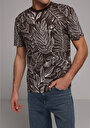 thumb-Afficher les détails de T-shirt À Manches Courtes Marron Regular Fit Imprimé Homme