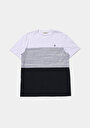 thumb-Afficher les détails de T-shirt À Manches Courtes Marine Regular Fit Rayé Homme