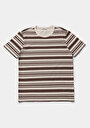 thumb-Afficher les détails de T-shirt À Manches Courtes Marron Regular Fit Rayé Homme