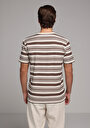 thumb-Afficher les détails de T-shirt À Manches Courtes Marron Regular Fit Rayé Homme