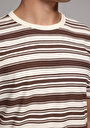thumb-Afficher les détails de T-shirt À Manches Courtes Marron Regular Fit Rayé Homme