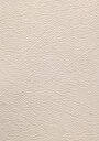 thumb-Afficher les détails de Chemise À Manches Courtes Beige Droit Boxy Fit Homme