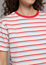 thumb-Afficher les détails de T-shirt À Manches Courtes Multicolou Regular Fit Rayé Femme