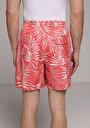 thumb-Afficher les détails de Short De Bain Corail Regular Fit Doublé Homme