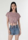 thumb-Afficher les détails de T-shirt À Manches Courtes Multicolou Regular Fit  Femme