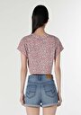 thumb-Afficher les détails de T-shirt À Manches Courtes Multicolou Regular Fit  Femme