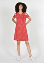 thumb-Afficher les détails de Robe Corail Regular Fit    Femme