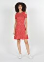 thumb-Afficher les détails de Robe Corail Regular Fit    Femme