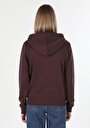 thumb-Afficher les détails de Pull-over Marron Regular Fit  Femme