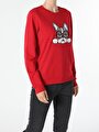 thumb-Afficher les détails de Pull-over Rouge Regular Fit  Femme