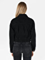 thumb-Afficher les détails de Veste De Blazer Noir Regular Fit   Femme