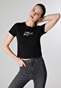 thumb-Afficher les détails de T-shirt À Manches Courtes Noir Comfort Fit  Femme